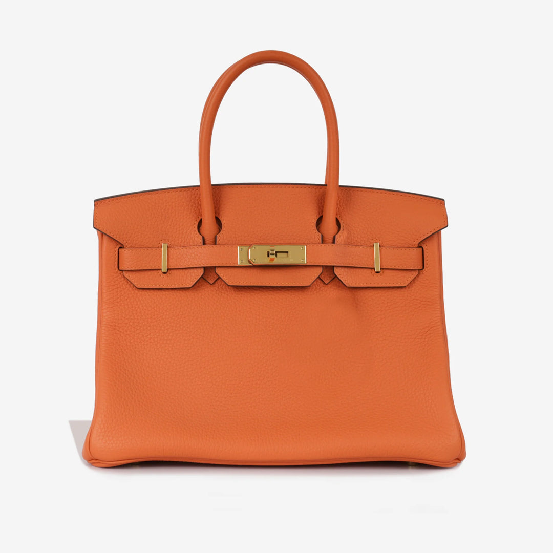 Amara Luxe Handbag with Elegant Design